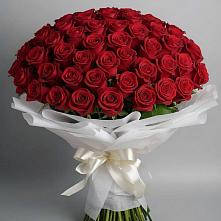 Букет 101 Красная роза Блэк Мэджик в Новосолдатке