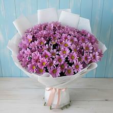 Букет цветов из:  Хризантемы в Новосолдатке