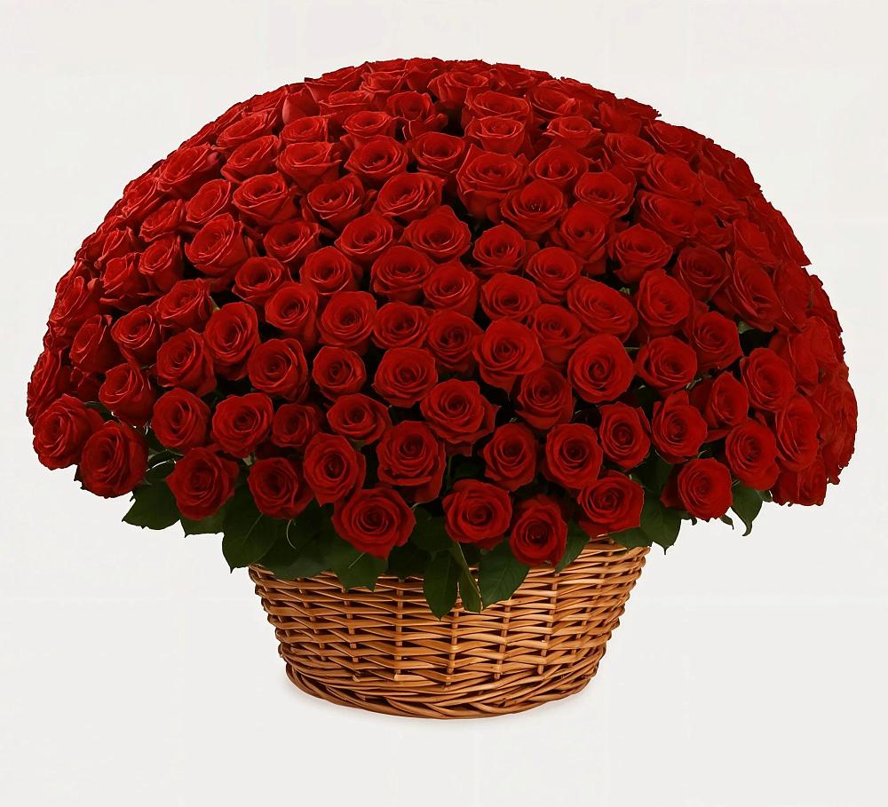 Премиум букет из: Розы в Новосолдатке