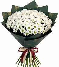 Букет цветов из:  Хризантемы #REPLACE_PRED# Новосолдатке