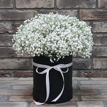 Цветочная композиция из Гипсофила в шляпной коробке в Новосолдатке